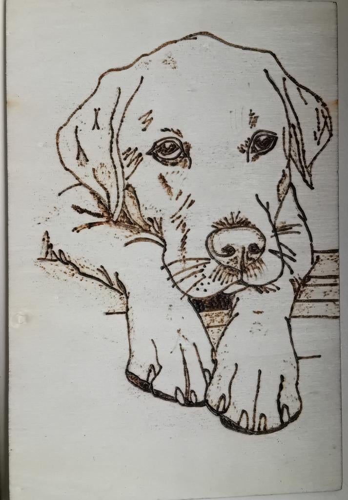 Hond in hout gegraveerd, Ophalen of Verzenden, Nieuw