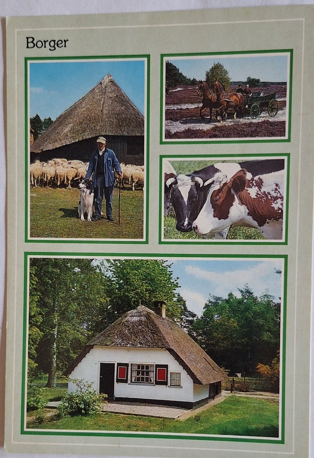 Ansichtkaart Borger Drenthe - Landschap en boerenleven, Ophalen of Verzenden