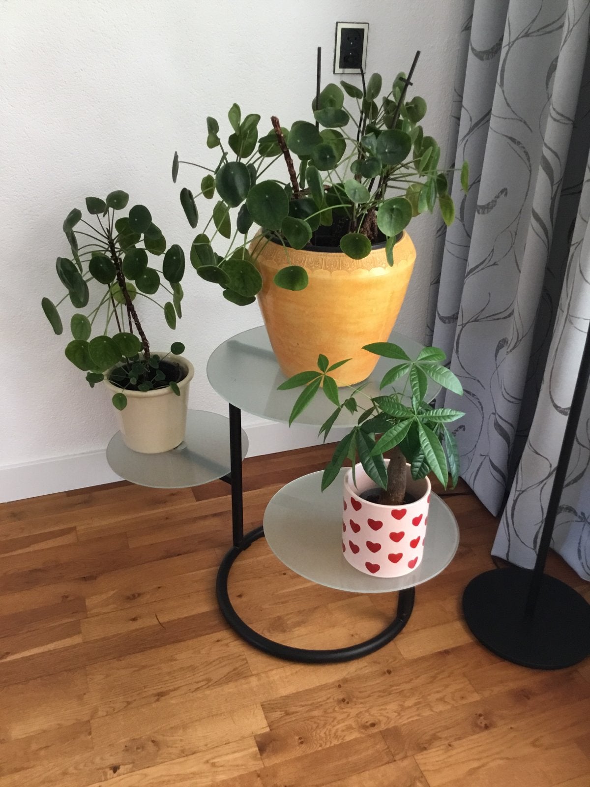 Plantentafel met 3 glazen schappen - 57 cm hoog, Minder dan 55 cm, Gebruikt, Rond, Glas