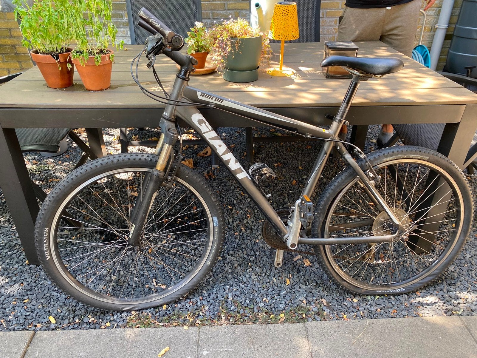 Giant Mountainbike - Opknappertje, Ophalen, Gebruikt, Hardtail, Velgrem
