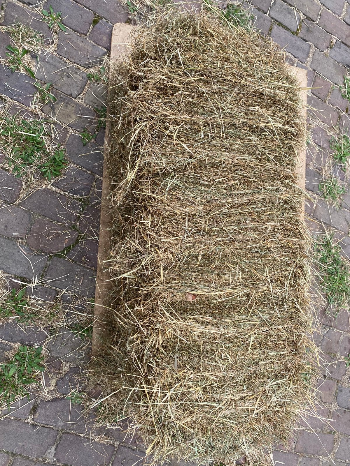 Hooibaaltjes  met touwtjes ca 20 kg, Ophalen, Vee