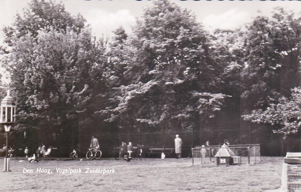 08476 Den Haag - Vogelpark Zuiderpark, Verzenden, 1960 tot 1980, Ongelopen, Zuid-Holland