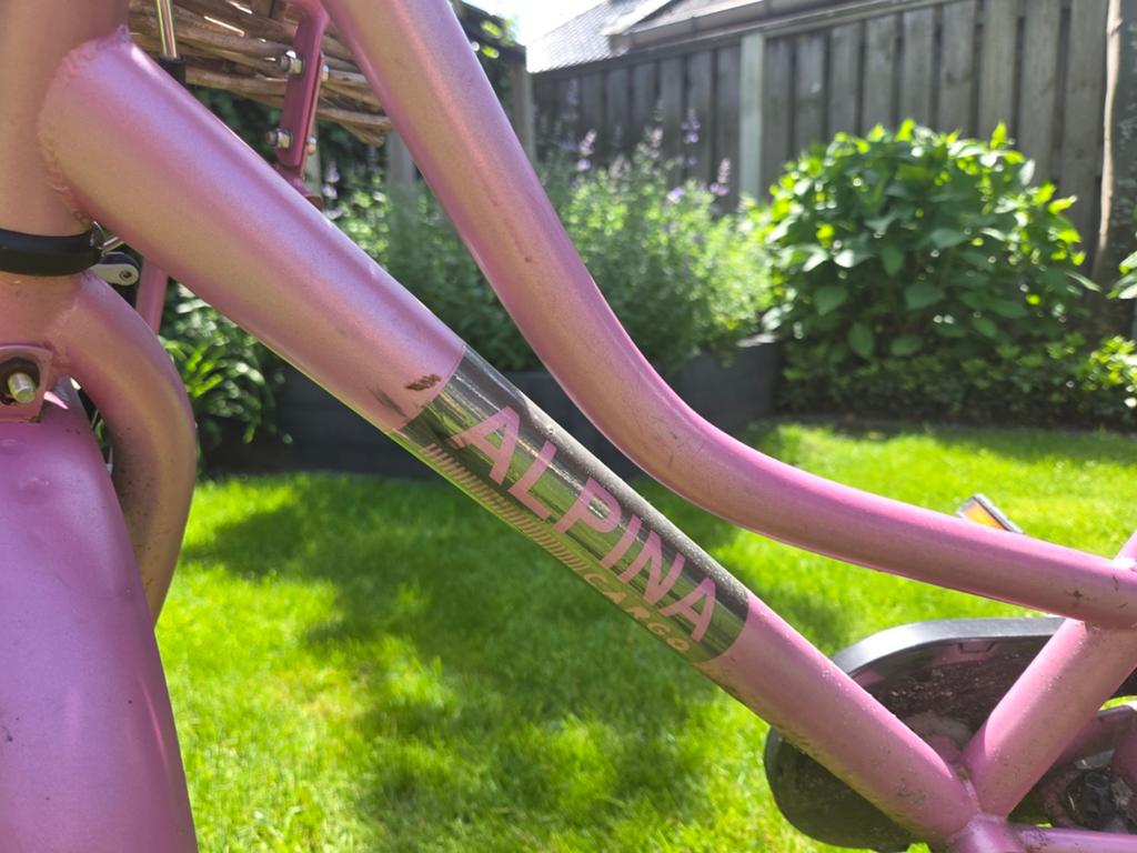 Alpina Cargo Meisjesfiets Roze - 20 inch, Fietsen en Brommers, Ophalen, Gebruikt, 20 inch
