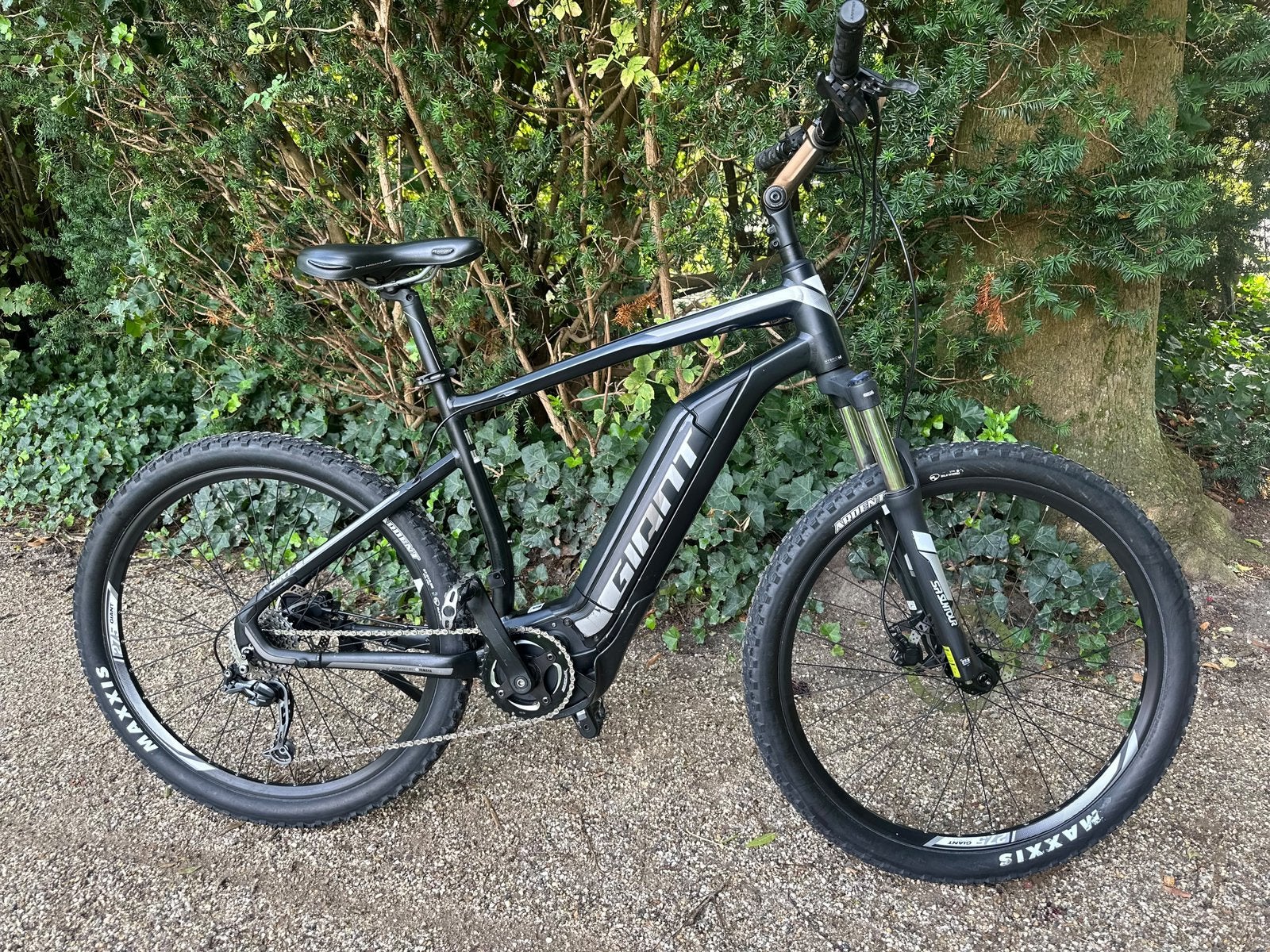 Giant Dirt E bike electrische mountainbike zgan, Fietsen en Brommers, Ophalen, Zo goed als nieuw