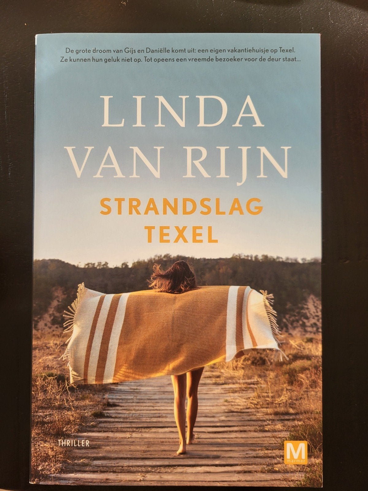 Linda van Rijn - Strandslag Texel (Thriller), Ophalen of Verzenden, Zo goed als nieuw, Linda van Rijn, Nederland