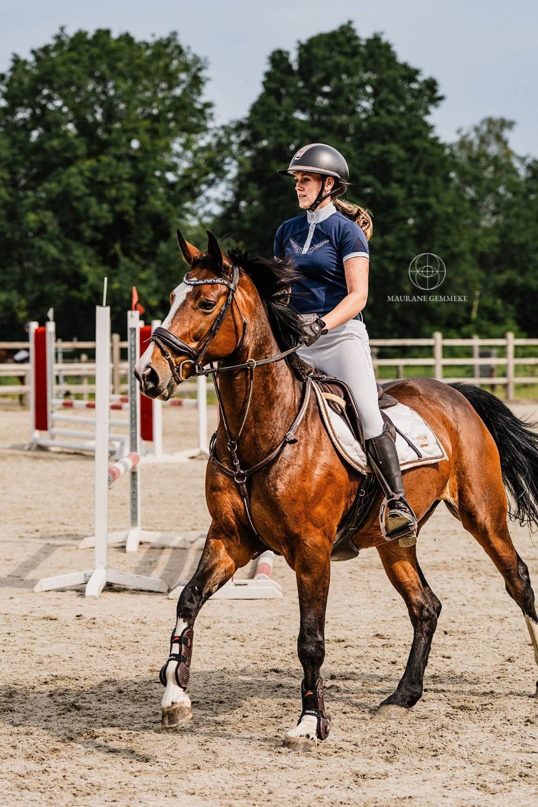 recreatiepaard fokmerrie, Dieren en Toebehoren, Paarden, 160 tot 165 cm, 11 jaar of ouder, Recreatiepaard, Merrie