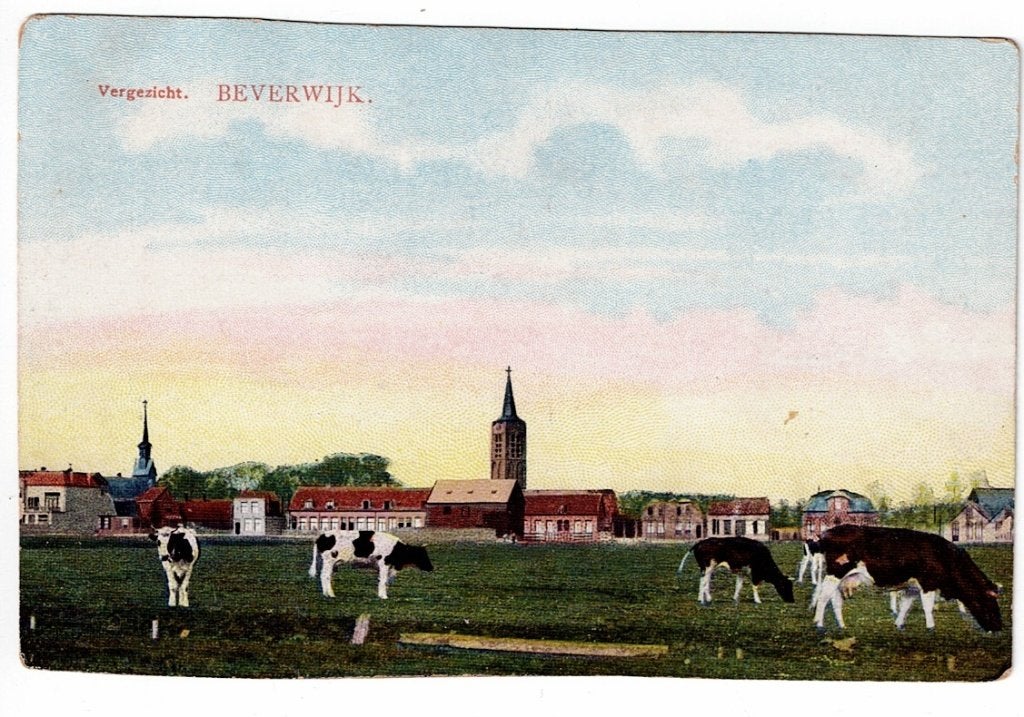 Beverwijk. Vergezicht met koeien op de voorgrond., Ophalen of Verzenden, Voor 1920, Ongelopen, Noord-Holland