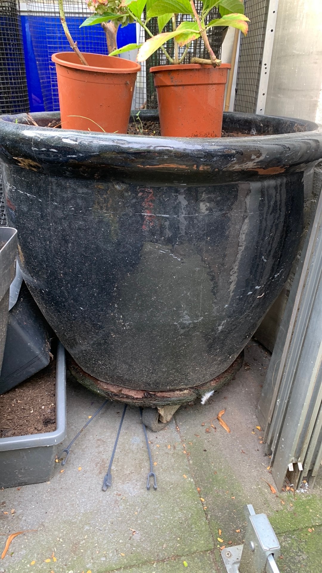 Grote zwarte geglazuurde winterharde terracotta buitenpot, Ophalen, 40 cm of meer, Rond, Zo goed als nieuw