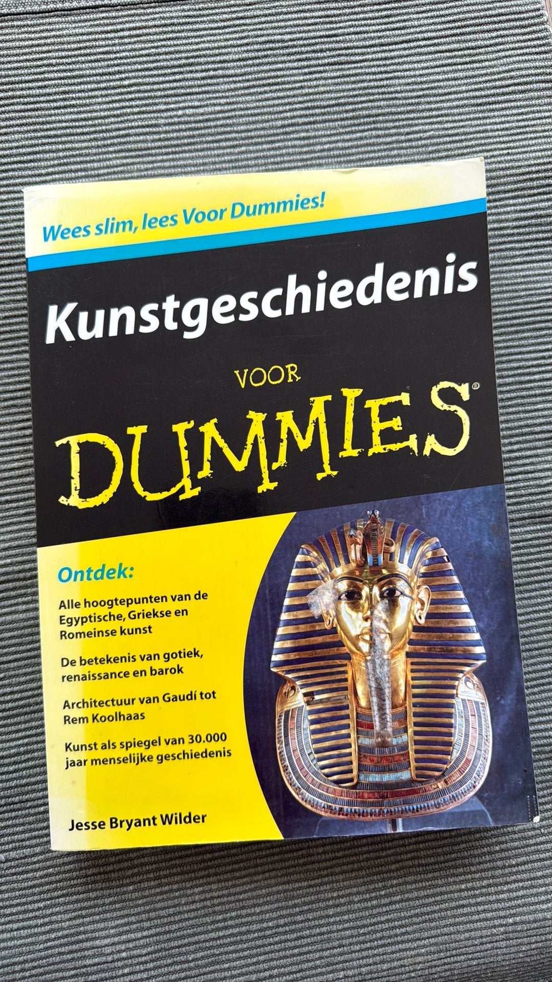 Kunstgeschiedenis voor Dummies, Ophalen of Verzenden, Gelezen, J. Bryant Wilder