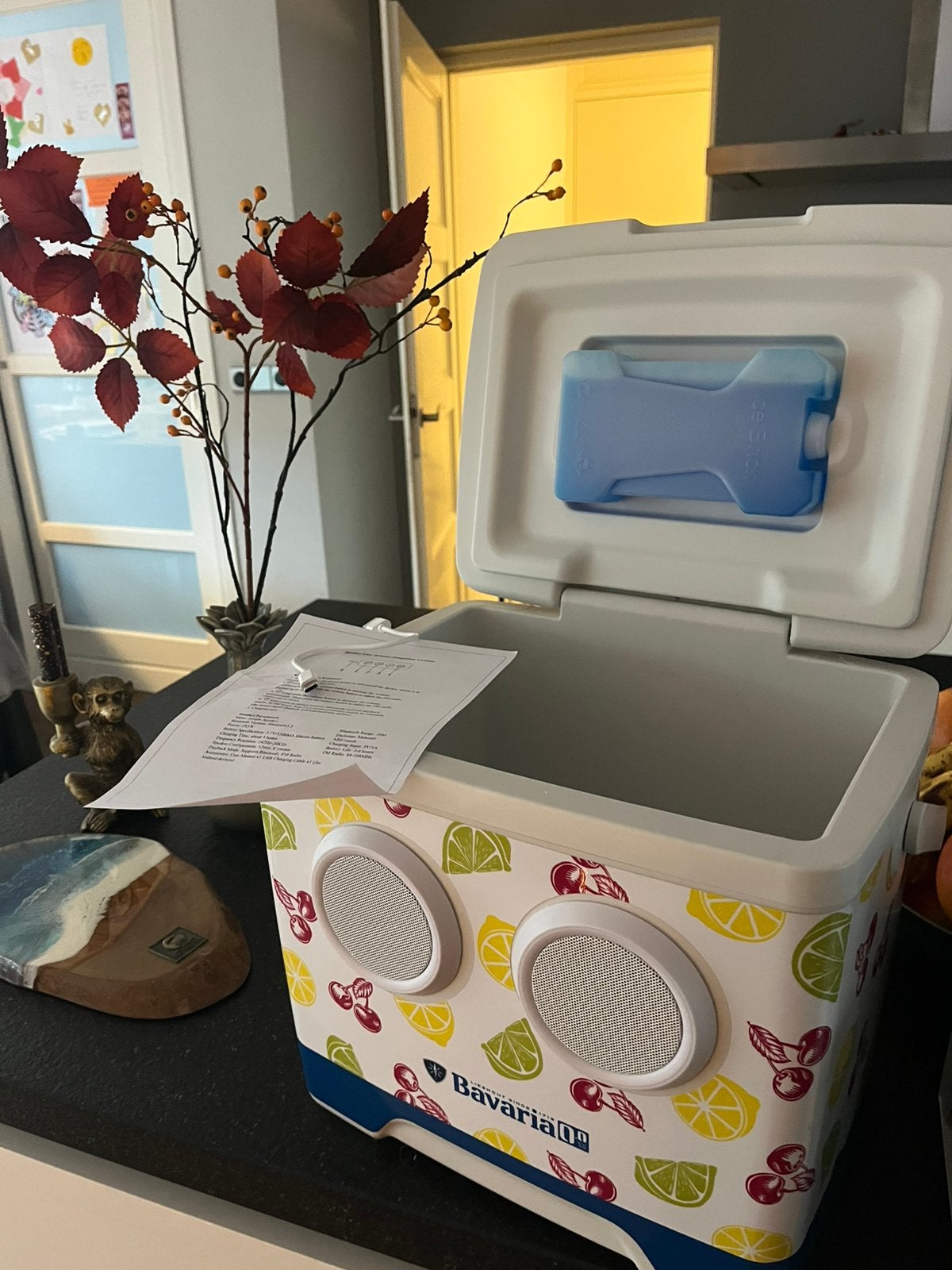Bavaria koelbox met speakers!!!, Caravans en Kamperen, Ophalen, Nieuw, Koelbox, Koelelement