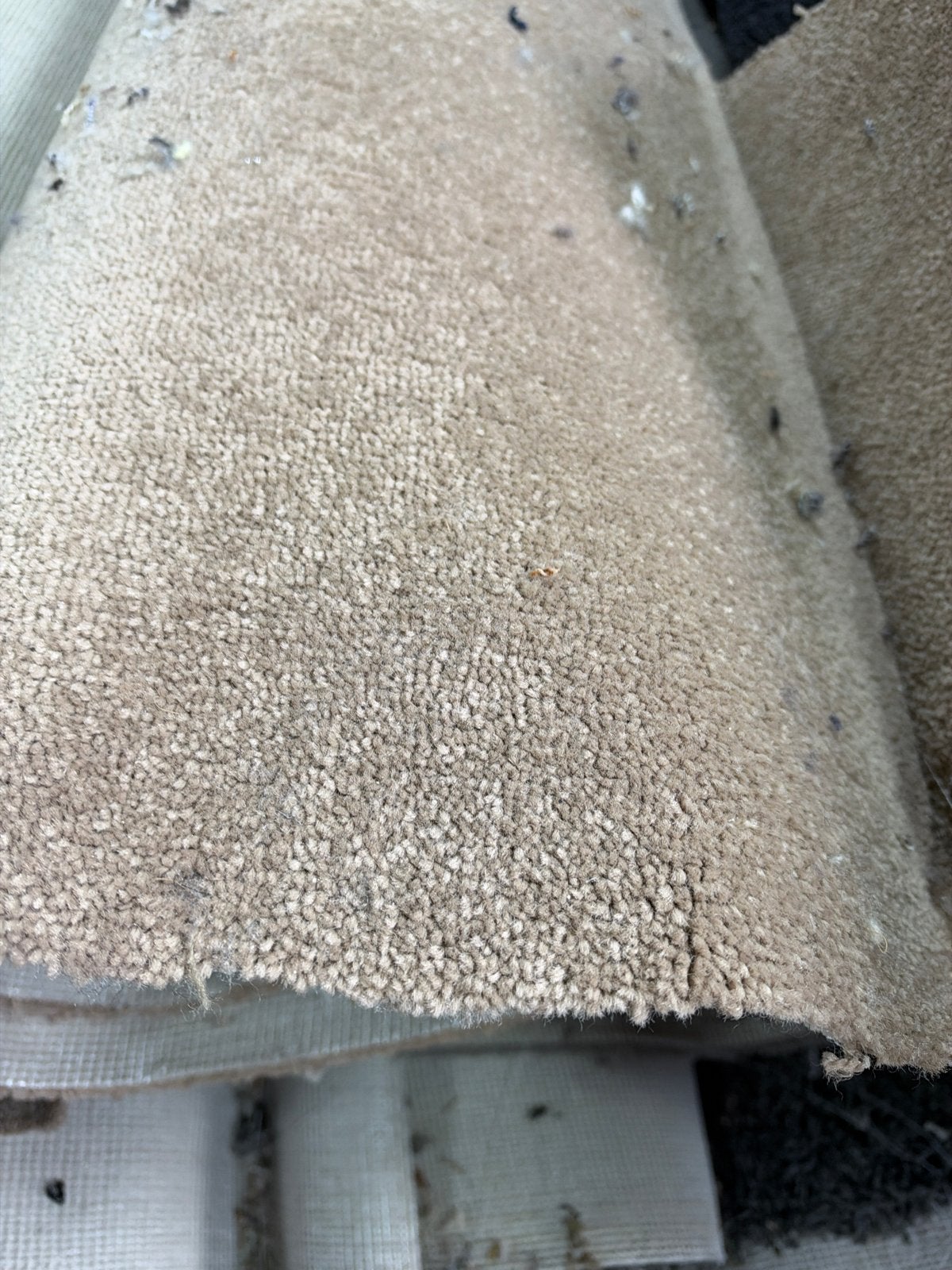 Nieuw Coupon Bruin Beige Tapijt op rol 4x4,90m outlet op=op, Ophalen, Nieuw, Bruin, Tapijt