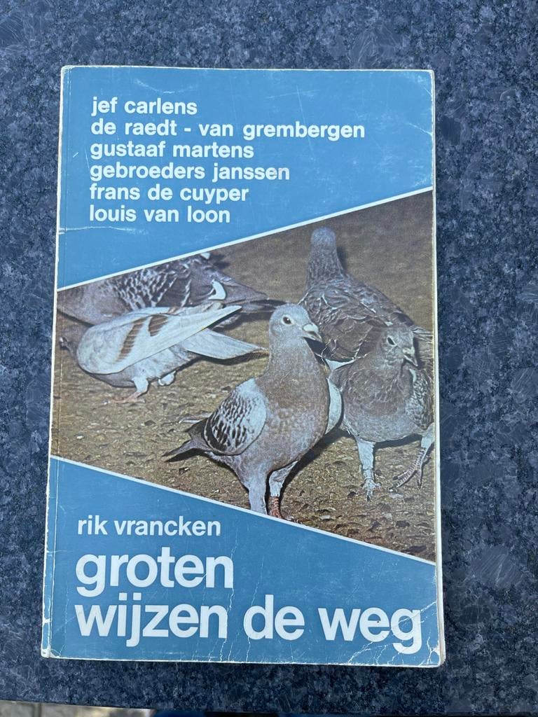 Groten wijzen de weg - Rik Vrancken, Ophalen of Verzenden, Gelezen