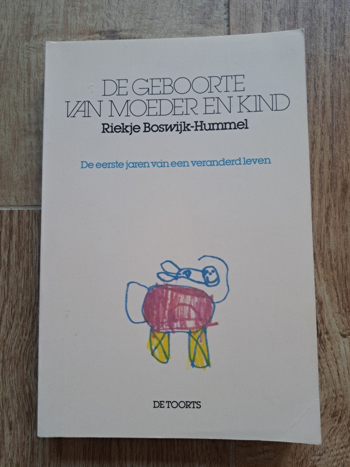 De Geboorte van Moeder en Kind - Riekske Boswijk-Hummel, Ophalen of Verzenden, Zo goed als nieuw, Zwangerschap en Bevalling, Riekske Boswijk-Hummel