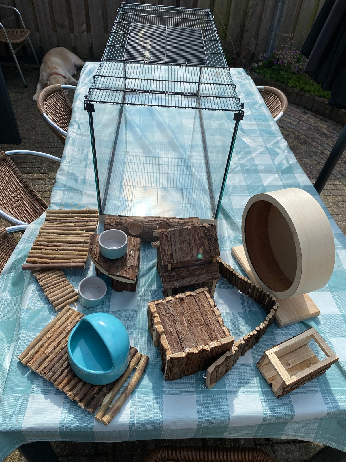 Ferplast knaagdierenkooi Jerry met toebehoren, Dieren en Toebehoren, Minder dan 60 cm, Kooi, Nieuw, Ophalen of Verzenden