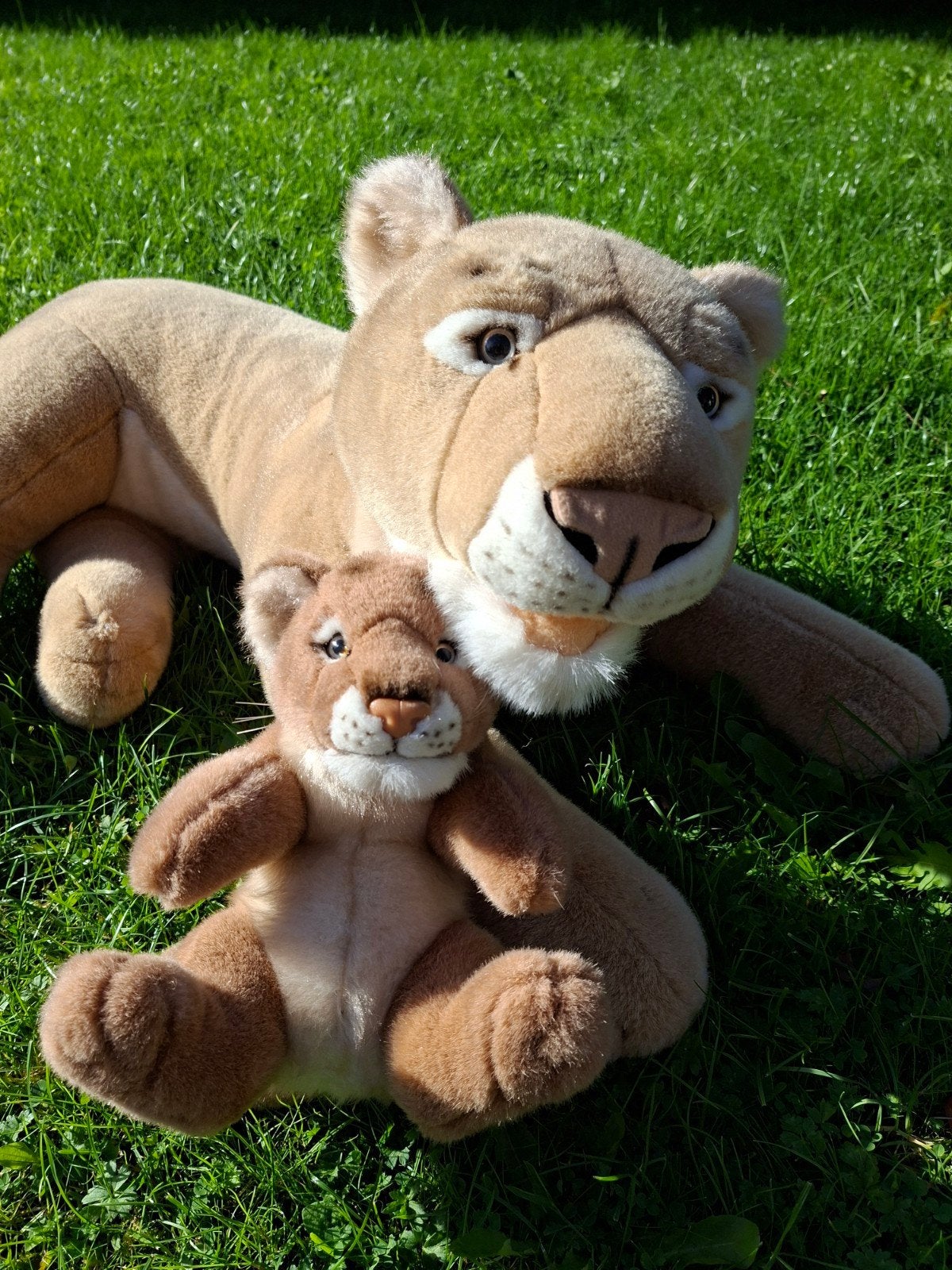 Grote en kleine leeuw knuffel - moeder en kind, Kinderen en Baby's, Ophalen, Gebruikt, Middelgroot (20 tot 80 cm), Leeuw