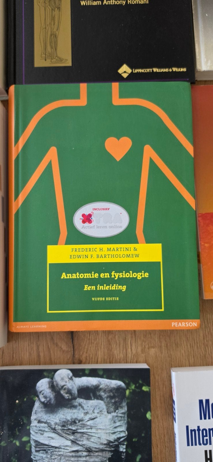 Anatomie en Fysiologie: Een Inleiding (5e editie), Boeken, Zo goed als nieuw, Frederic H. Martini & Edwin F. Bartholomew, Beta