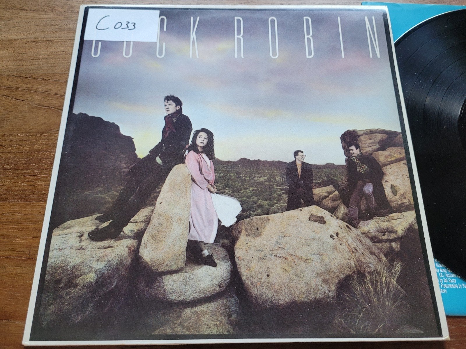 Cock Robin - Cock Robin (LP, 1985), Cd's en Dvd's, Vinyl | Pop, Inclusief binnenhoes, Ophalen of Verzenden, Gebruikt, 12 inch