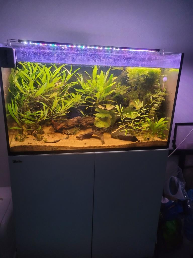 Red sea aqaurium te koop, Dieren en Toebehoren, Ophalen, Leeg aquarium