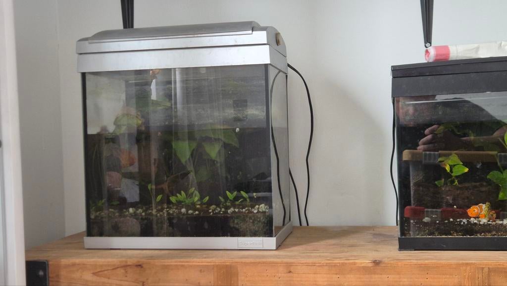 2x aquarium weggeef., Ophalen
