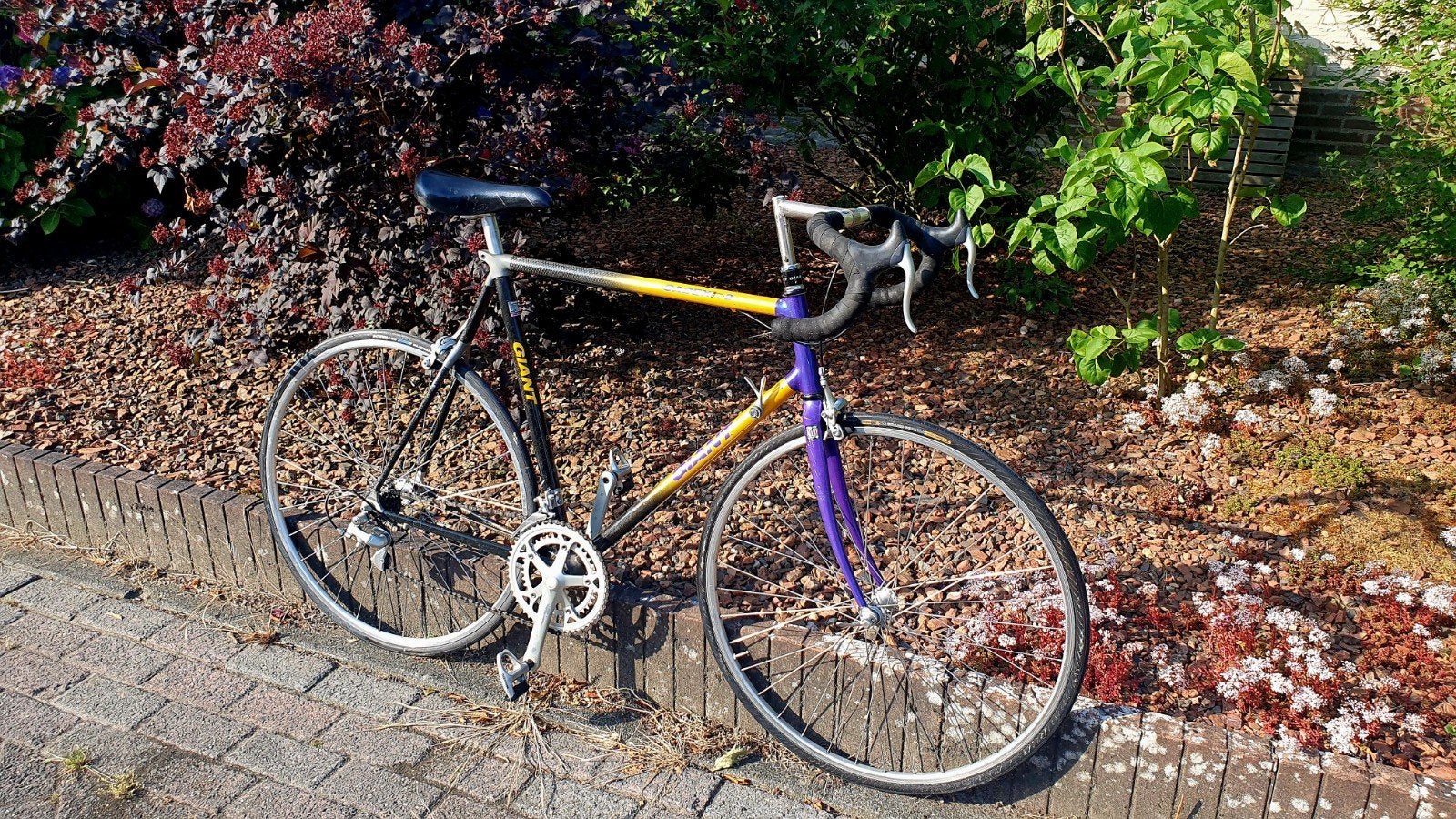 Giant Cadex 2 cfr-2 fr 60 carbon racefiets sportfiets
De Gia, Ophalen, 28 inch, Gebruikt, Carbon