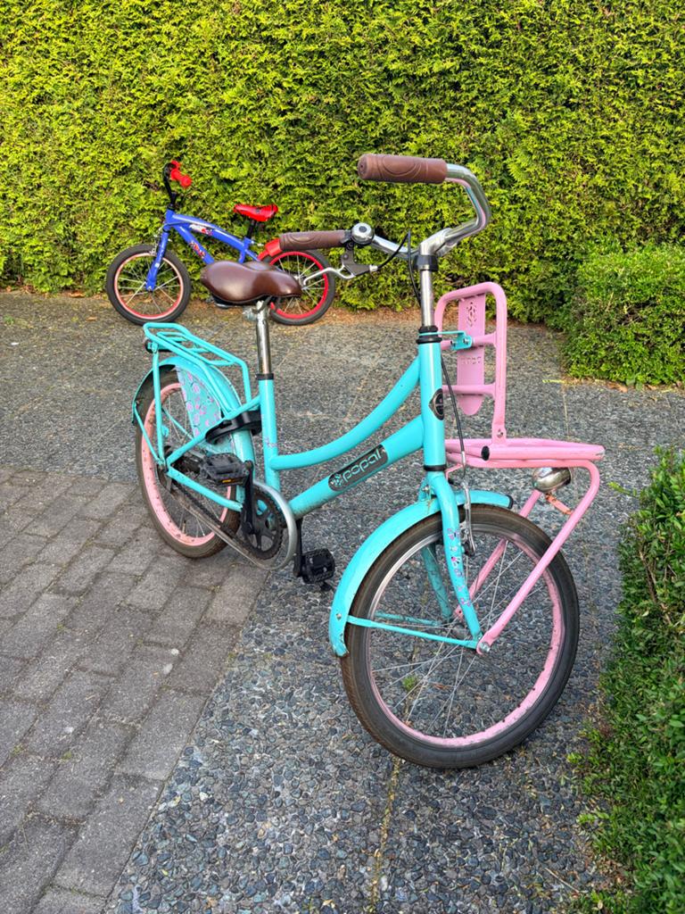 Kinderfiets meisjes 20 inch | mint/roze, Ophalen, Gebruikt, 20 inch of meer