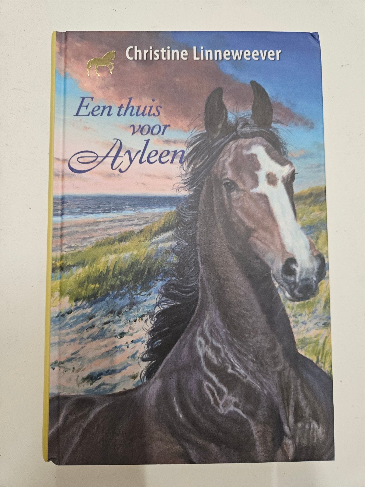 Christine Linneweever - Een thuis voor Ayleen, Ophalen of Verzenden, Zo goed als nieuw, Christine Linneweever