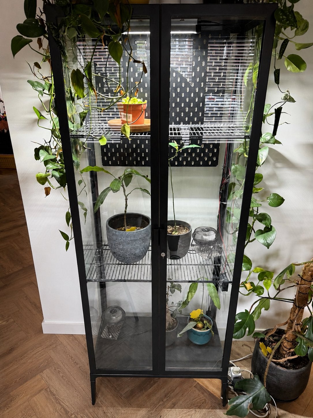 Groeikast voor binnenplanten, Ophalen, Met deur(en), 50 tot 100 cm, Zo goed als nieuw