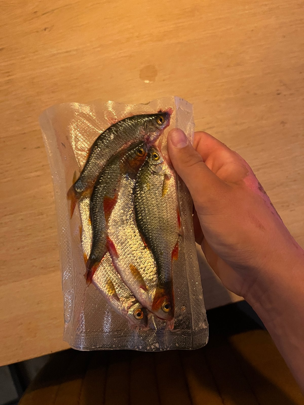 10 aasvissen - 10-18 cm voor snoek en snoekbaars, Ophalen, Nieuw, Overige typen
