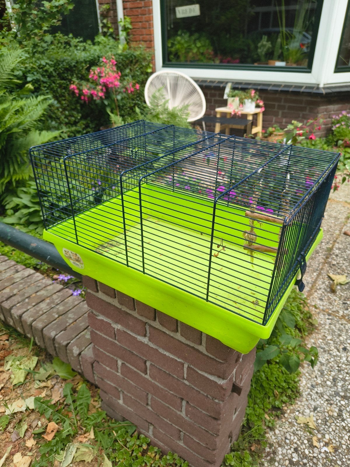 Te koop: knaagdieren hok, Ophalen, Hok, Minder dan 60 cm