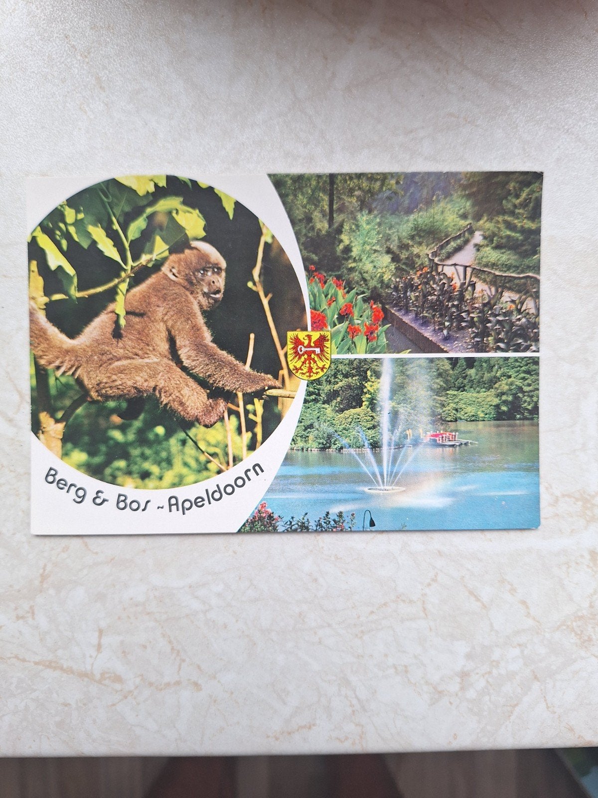 Ansichtkaart Berg & Bos Apeldoorn - Aap en fontein, Ophalen of Verzenden