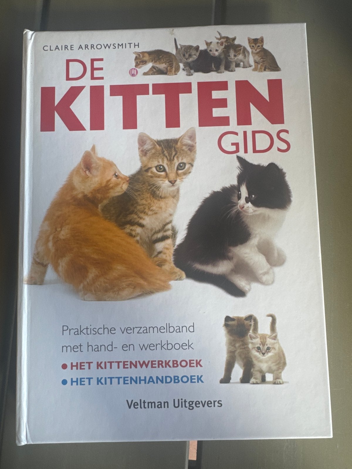 De Kitten Gids - Handboek en Werkboek voor Kattenliefhebbers, Ophalen of Verzenden, Zo goed als nieuw, Katten