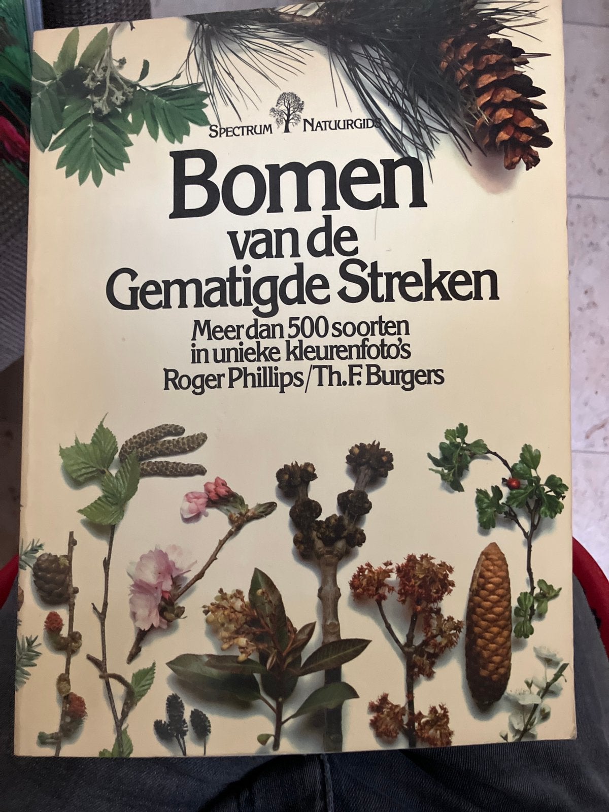Bomen van de Gematigde Streken – Roger Phillips / Th. F. Bu, Boeken, Ophalen of Verzenden, Zo goed als nieuw, Bloemen, Planten en Bomen