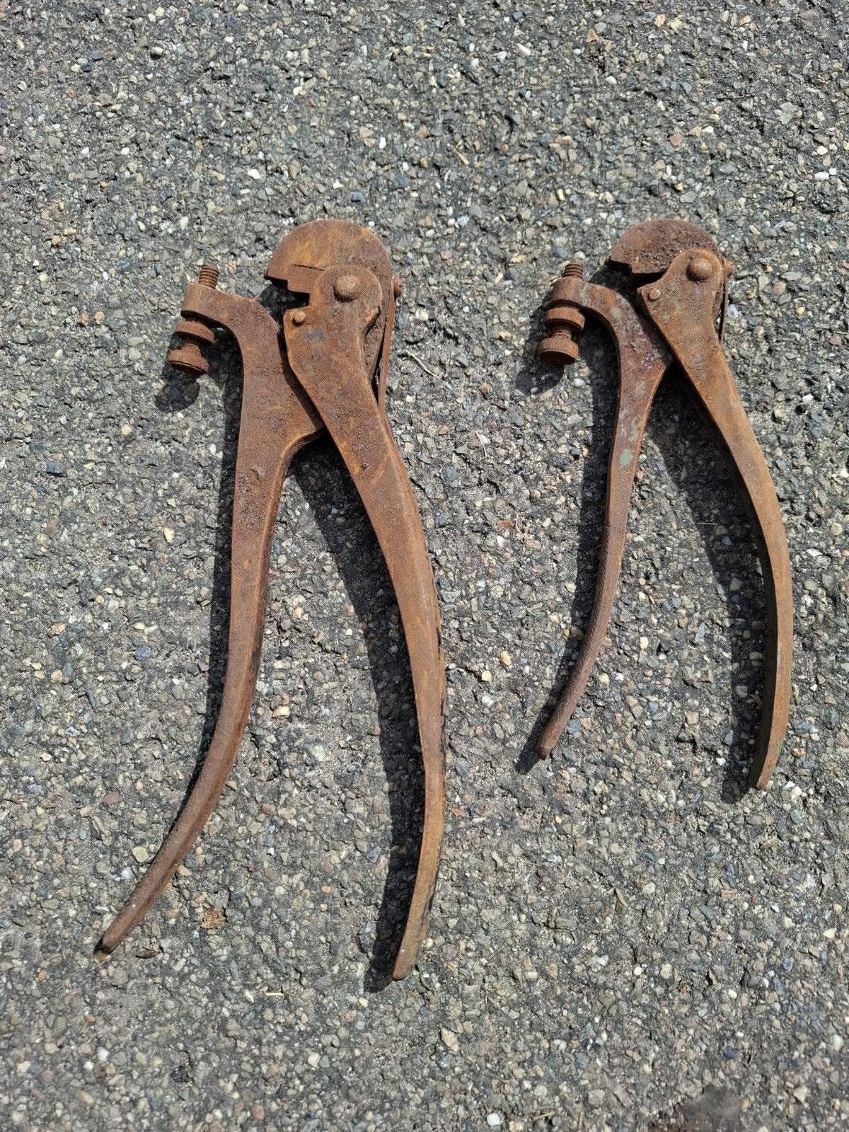 Vintage zaagzettangen, set van twee in verschillende maten, Ophalen
