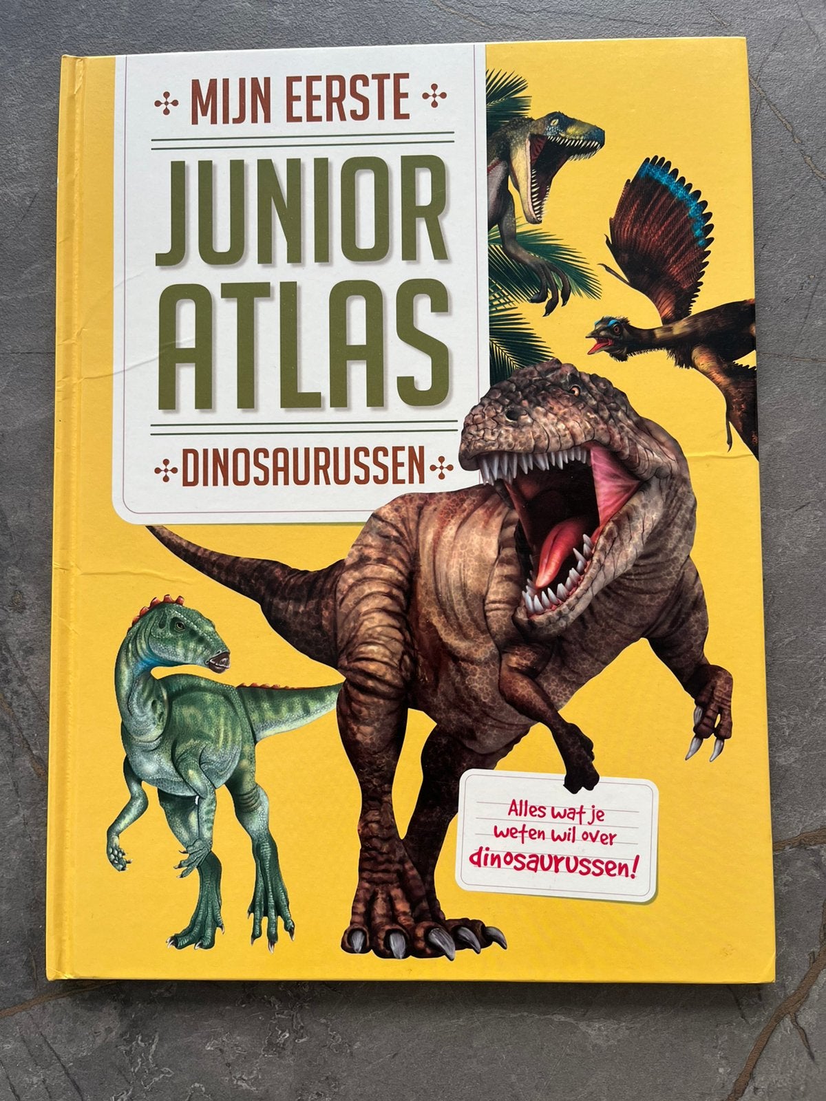 Kinderatlas dieren, Ophalen of Verzenden, Zo goed als nieuw, Non-fictie