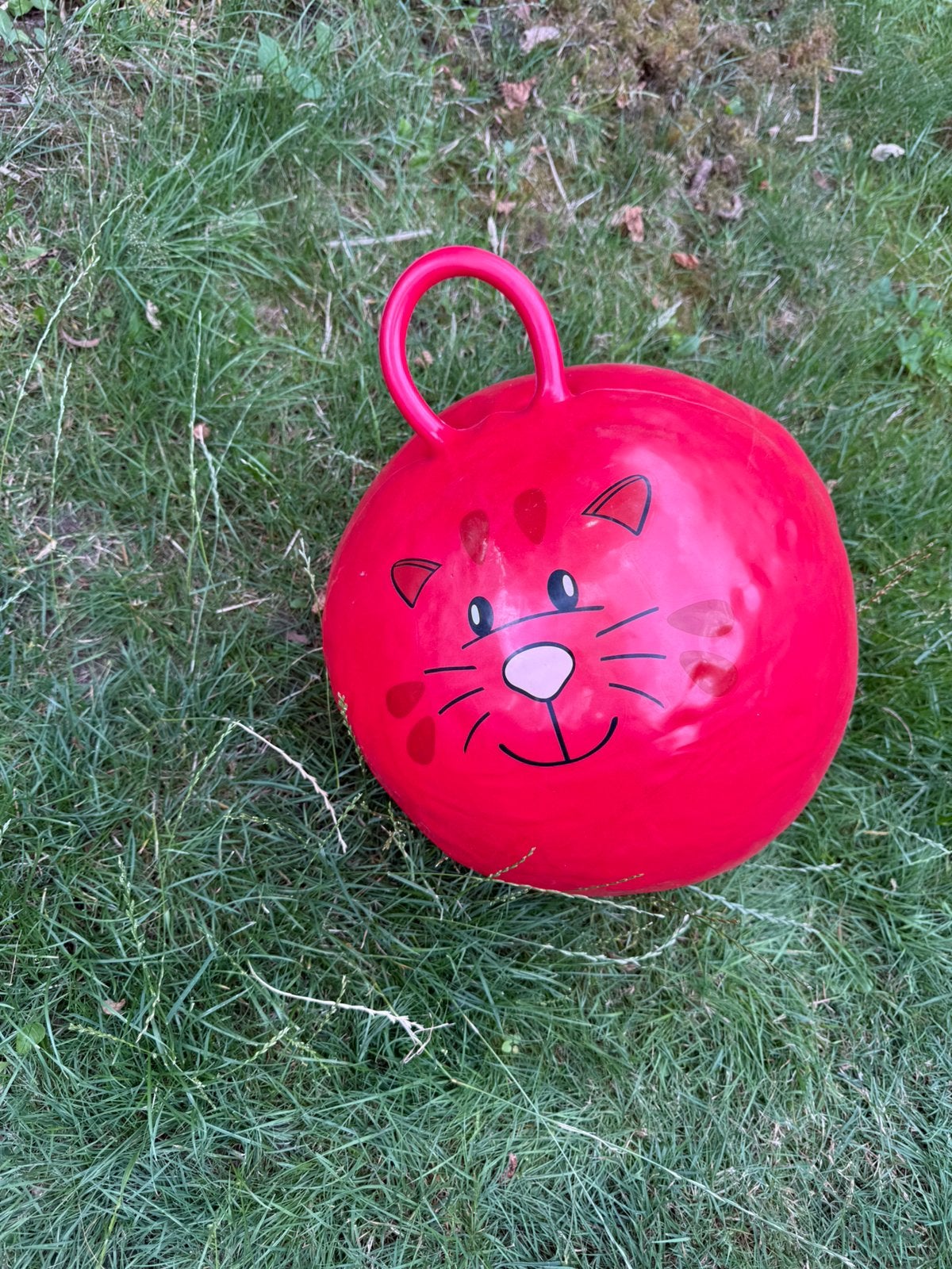 Skippy bal rood poes kat, Kinderen en Baby's, Speelgoed | Buiten | Los speelgoed, Ophalen, Zo goed als nieuw