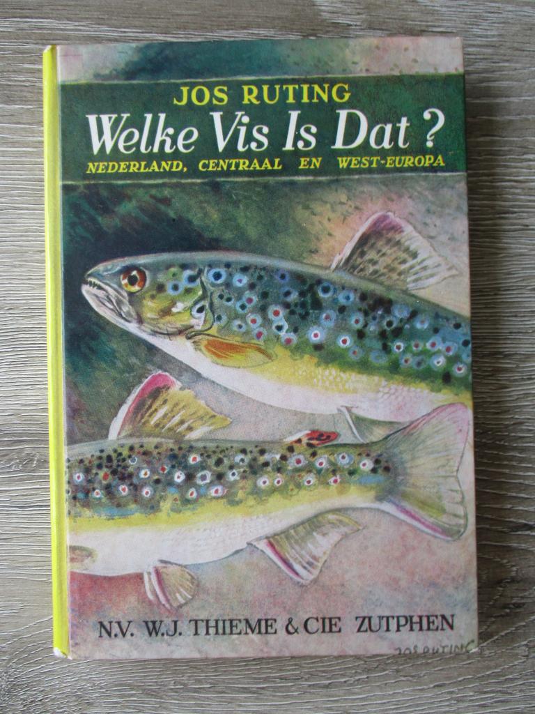 Welke vis is dat? - Jos Ruting, Ophalen of Verzenden, Gelezen