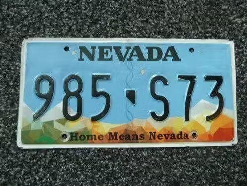 Kentekenplaat licenseplate Nevada Home Means 2 USA, Ophalen of Verzenden, Gebruikt, Auto's