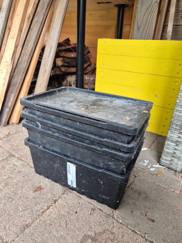 Wormentoren met wormen gratis, Ophalen, Compostbak
