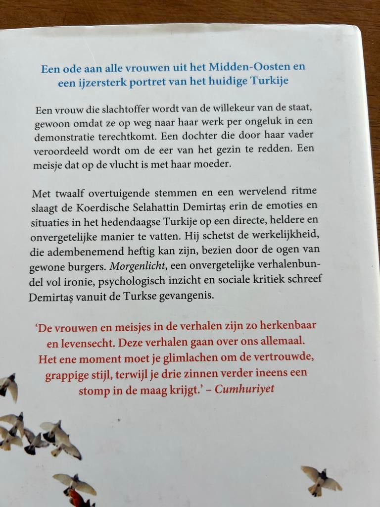 Morgenlicht - Selahattin Demirtaş (Verhalen), Boeken, Ophalen of Verzenden, Zo goed als nieuw, Europa overig