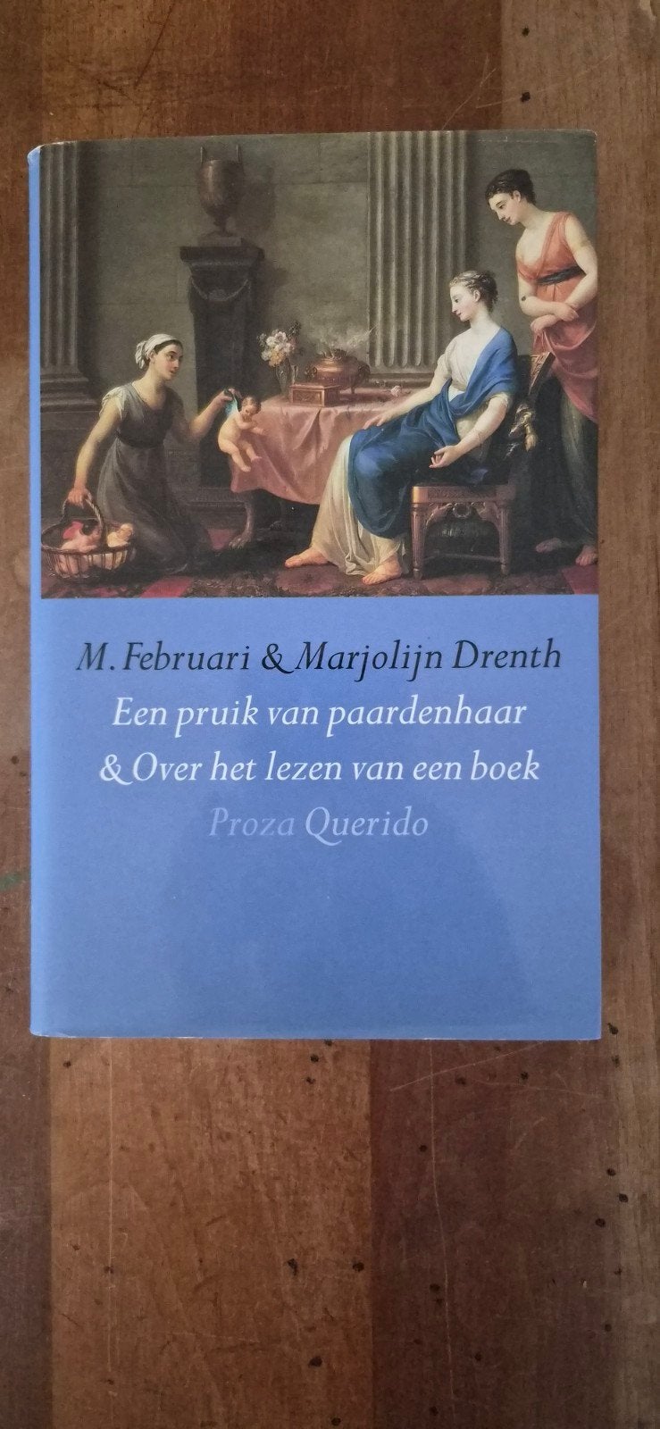 Een pruik van paardenhaar & Over het lezen van een boek, Ophalen of Verzenden, Gelezen, M. Februari & Marjolijn Drenth
