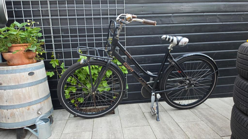 Dames / Giant bakkersfiets, Ophalen, Terugtraprem, Gebruikt, Giant