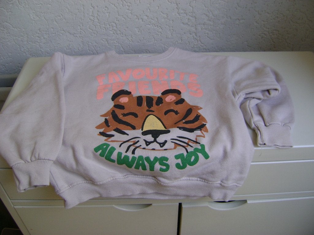 beige trui met tyger always en fafourite friends maat 110, Trui of Vest, Ophalen of Verzenden, Zo goed als nieuw, Zara