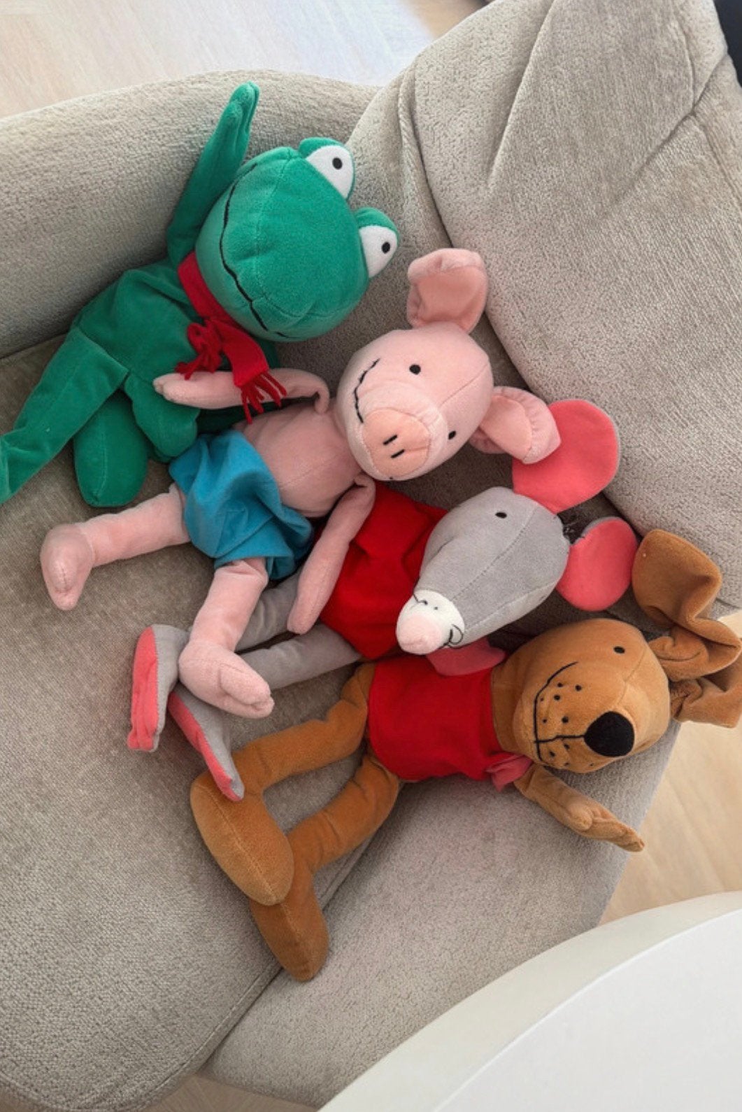 Kikker en zijn vriendjes, Kinderen en Baby's, Ophalen of Verzenden, Zo goed als nieuw, Kikker