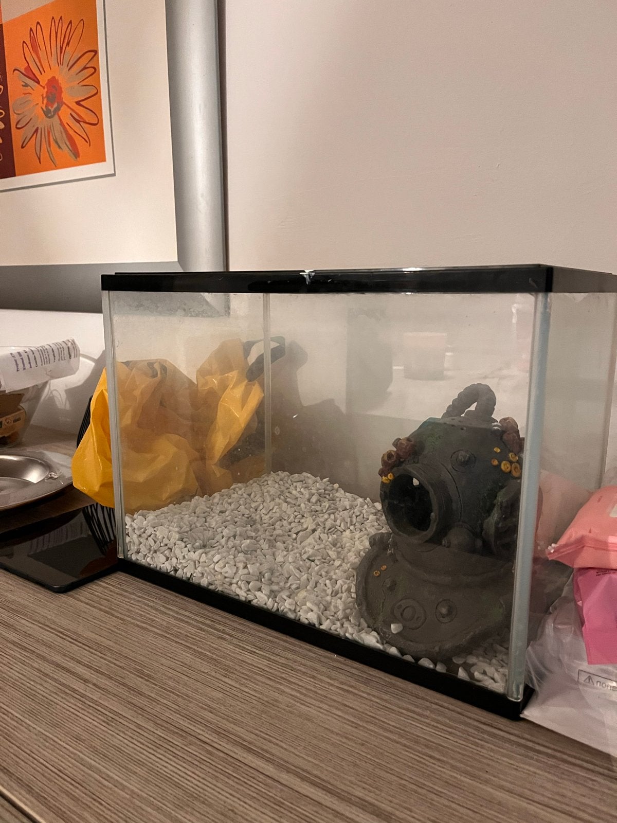 Mooi Aquarium – Ruim Formaat – Compleet 36 × 22,5 × 26 cm, Ophalen, Inclusief toebehoren, Zo goed als nieuw