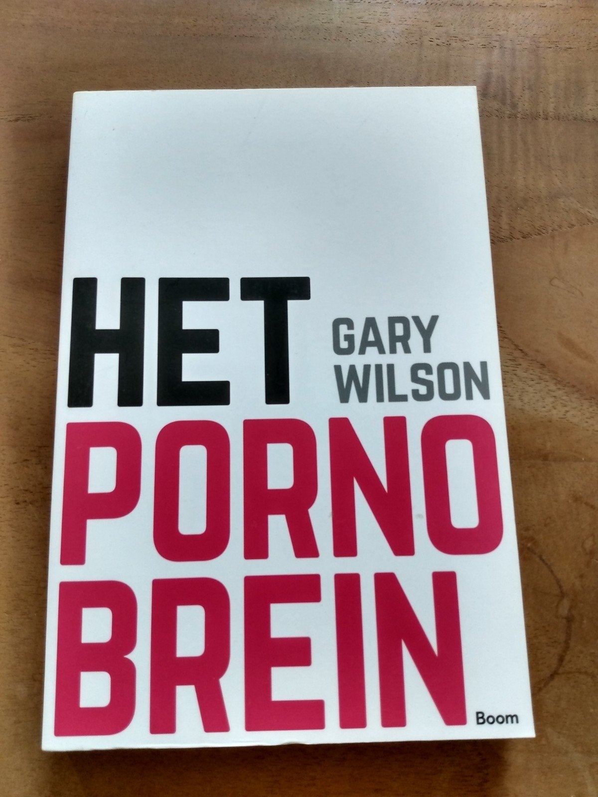 Gary Wilson - Het pornobrein, Boeken, Psychologie, Ophalen of Verzenden, Zo goed als nieuw, Gary Wilson