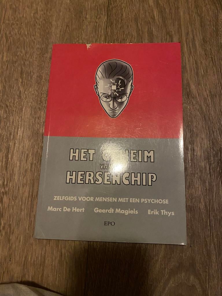 Het Geheim van de Hersenchip - Zelfgids Psychose, Ophalen of Verzenden, Gelezen