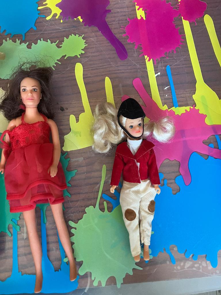 Barbies, Ophalen of Verzenden, Gebruikt, Pop