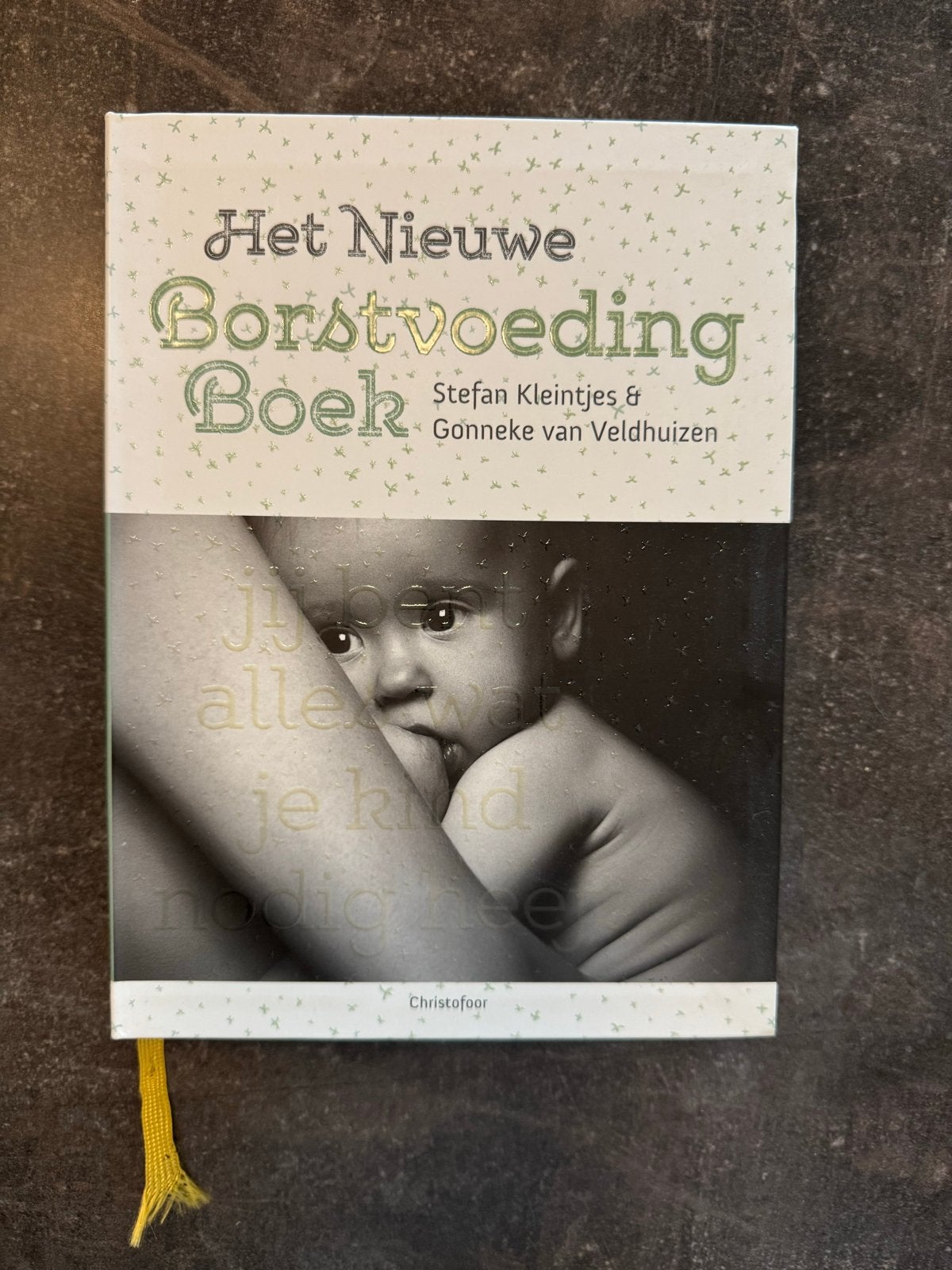 Het Nieuwe Borstvoeding Boek - Stefan Kleintjes & Gonneke va, Ophalen of Verzenden, Zo goed als nieuw, Zwangerschap en Bevalling
