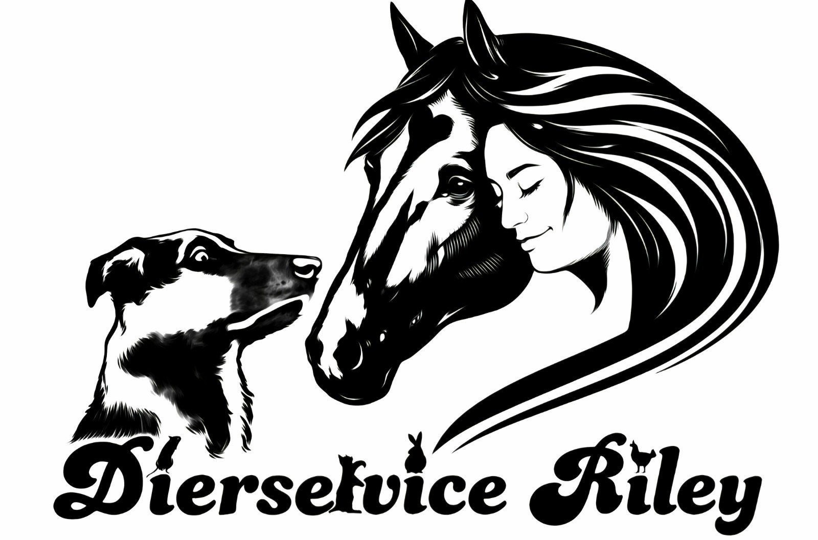 Honden uitlaatservice dierservice, Uitlaatservice