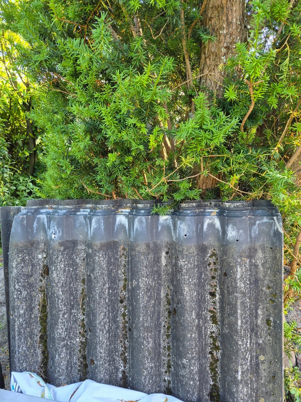 Golfplaten cementvezel, Ophalen, Overige materialen, Overige kleuren, Golfplaat